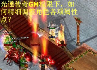 光通传奇GM权限下，如何精细调整角色各项属性点？