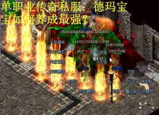单职业传奇私服：德玛宝宝如何养成最强？
