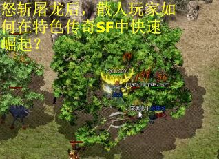 怒斩屠龙后，散人玩家如何在特色传奇SF中快速崛起？