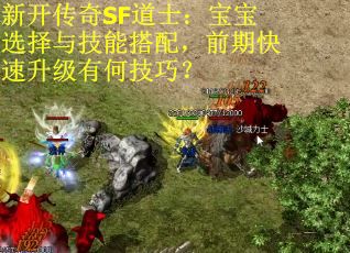 新开传奇SF道士：宝宝选择与技能搭配，前期快速升级有何技巧？