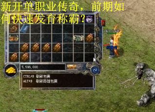 新开单职业传奇，前期如何快速发育称霸？