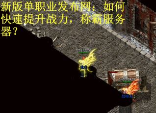 新版单职业发布网：如何快速提升战力，称霸服务器？
