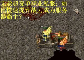无赦超变单职业私服：如何快速提升战力成为服务器霸主？