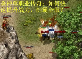 杀神单职业传奇：如何快速提升战力，制霸全服？