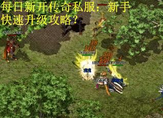 每日新开传奇私服：新手快速升级攻略？