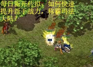 每日新开传拟：如何快速提升新手战力，称霸玛法大陆？
