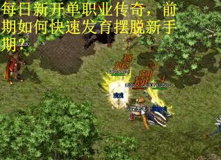 每日新开单职业传奇，前期如何快速发育摆脱新手期？