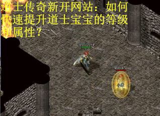 道士传奇新开网站：如何快速提升道士宝宝的等级和属性？