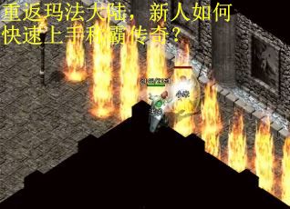 重返玛法大陆，新人如何快速上手称霸传奇？